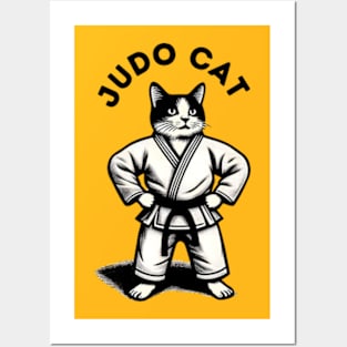 Judo Cat Posters and Art